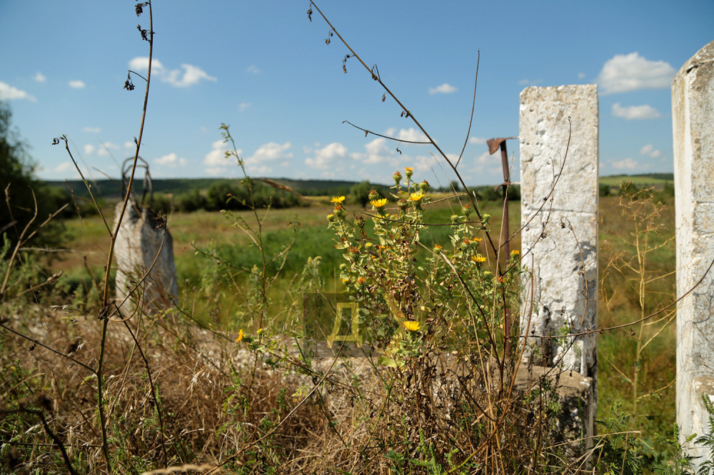 �������� � ������������ ����� � ������� - ��� ������� �������