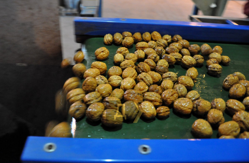 ������� �����