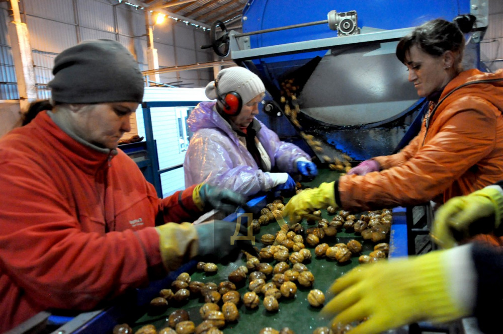 ����� �����