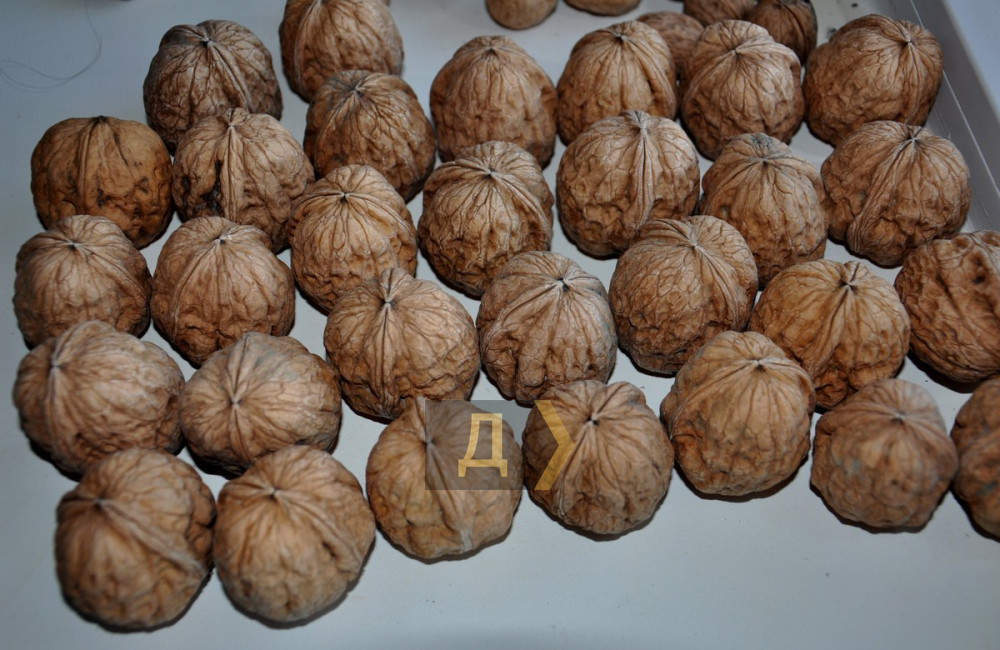 ����� ����� ����