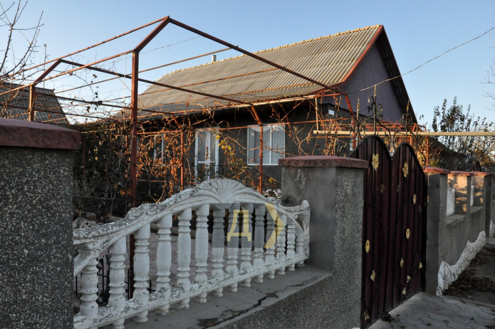 ��� ����� �������