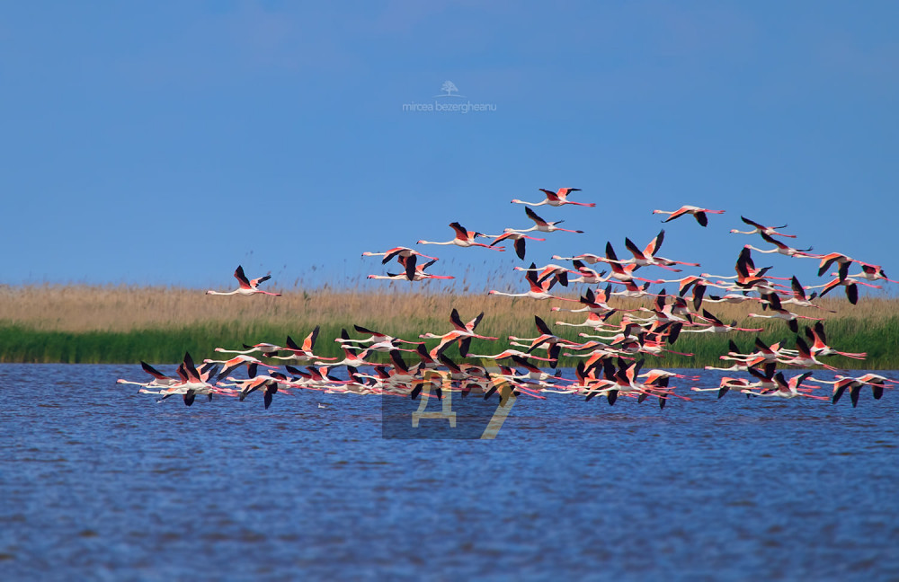 2 ���� 2021. ��� �������� �������� ��������� ���������� �� ������� ���������� ���� ������� ��������  