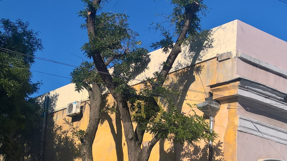 ������� �������� �� ����...