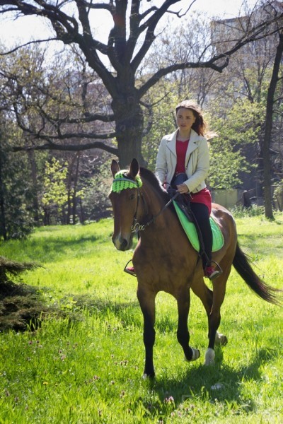 ��� ���������� �� ������