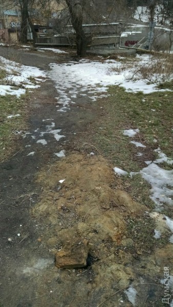 ���� �� ������, ��������� �� ������ ��������