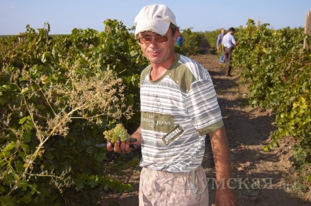 ������� � ���� ������� ������