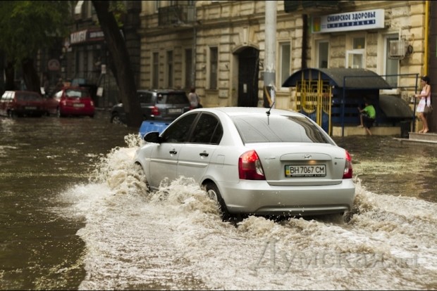 ���������. ����: ������������ "�������"