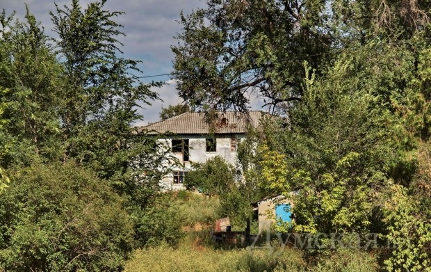 ����������� "���������" ����� ���