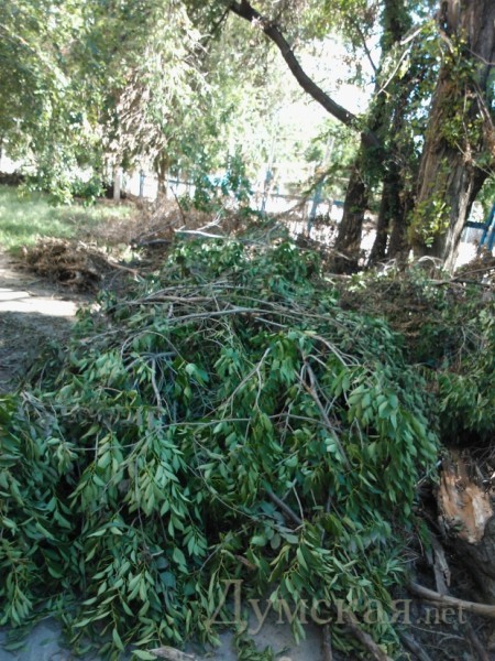 ���������� ��������