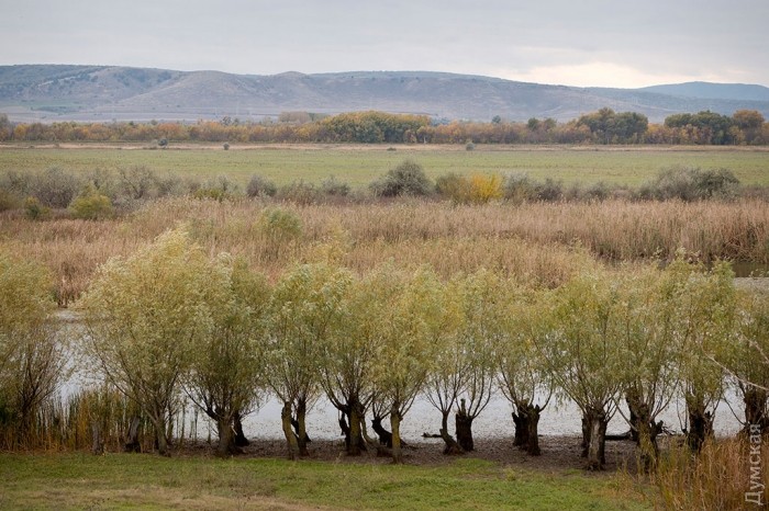 ���� ��������� 