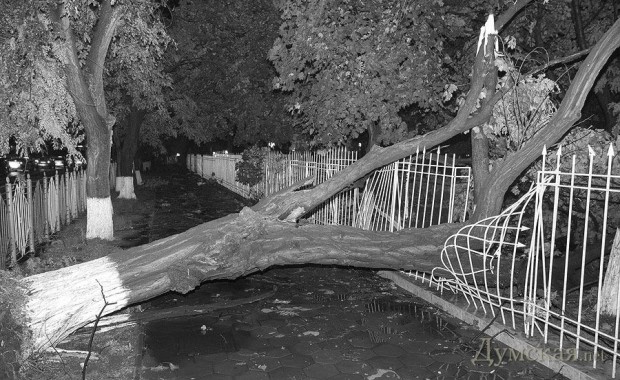 ��������� ������� ������ ���, 2013 ��� 