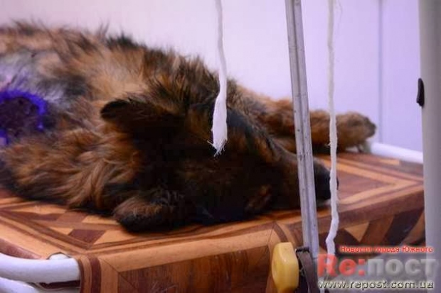 ������, ������� ������� ������ � ���� �����