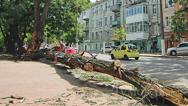 ���� � ���� �����