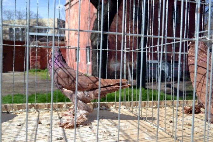 ������ �� 1000 ������ �� �����