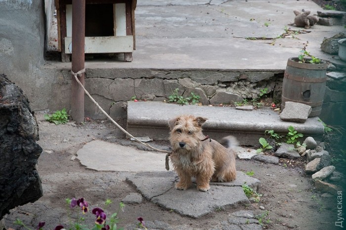 ����� ���� �� ������������