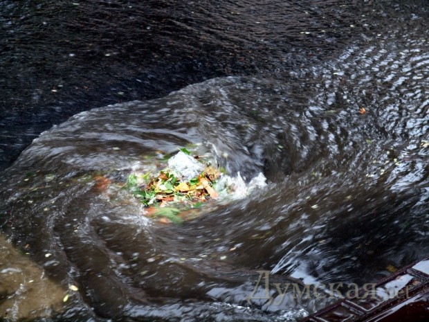 �������� �� ��������������. ����: �. ���������