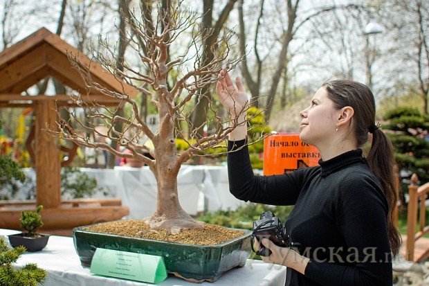 ������������ ��������� ����������� ��� 83 ����. ���-��� ���������