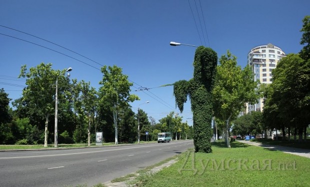 ������������ ���������� ��� ��������� ������ �� ��������� ��������. ����  panoramio.com