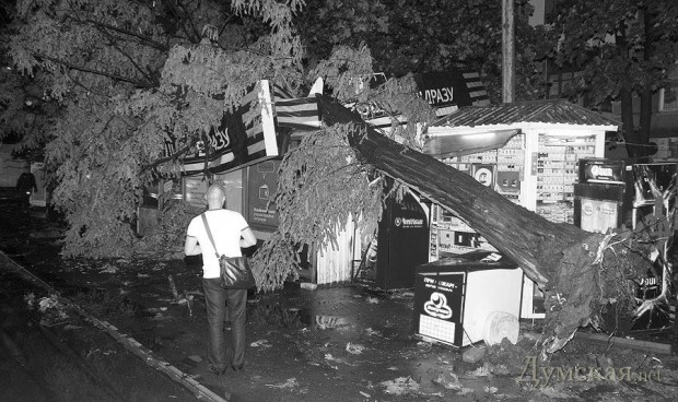 ������� ������ ��������� ��� �� 6-�� ��. ������� (31 ��� 2013 ����) 