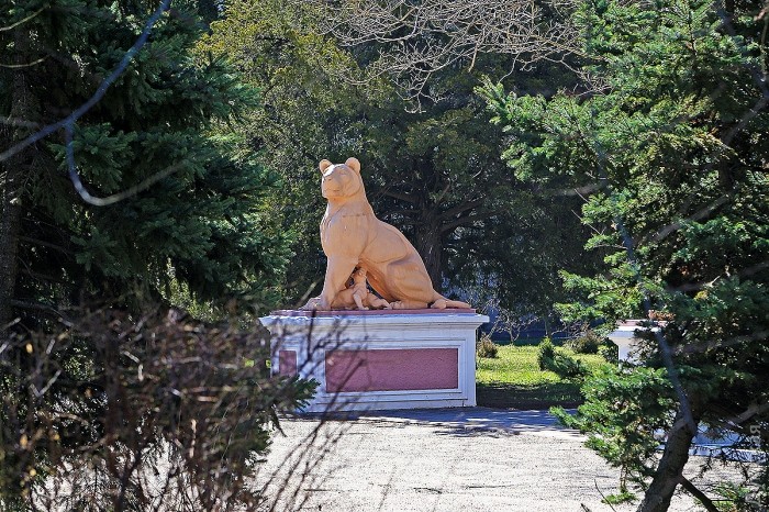 ����� �� ������ �������� ������ 