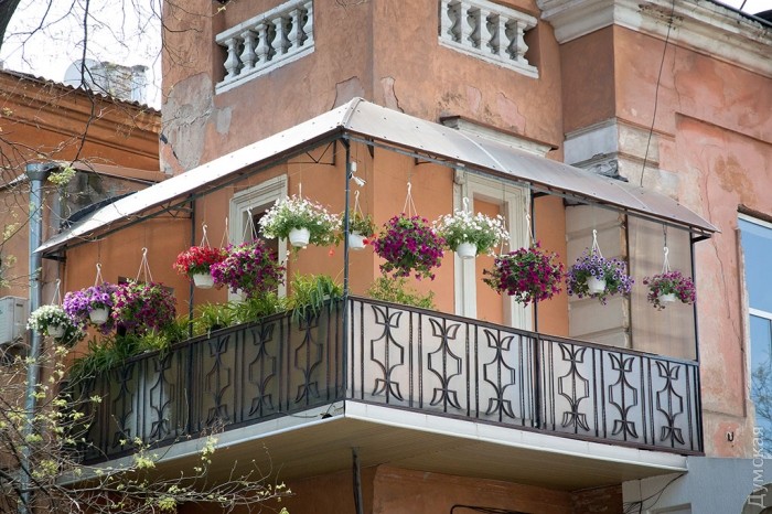 ������������ ���������� �� �����