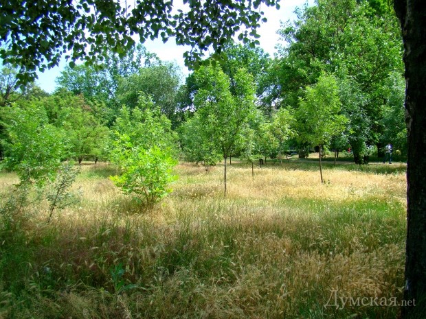 ������� ������� � ����� ������ 