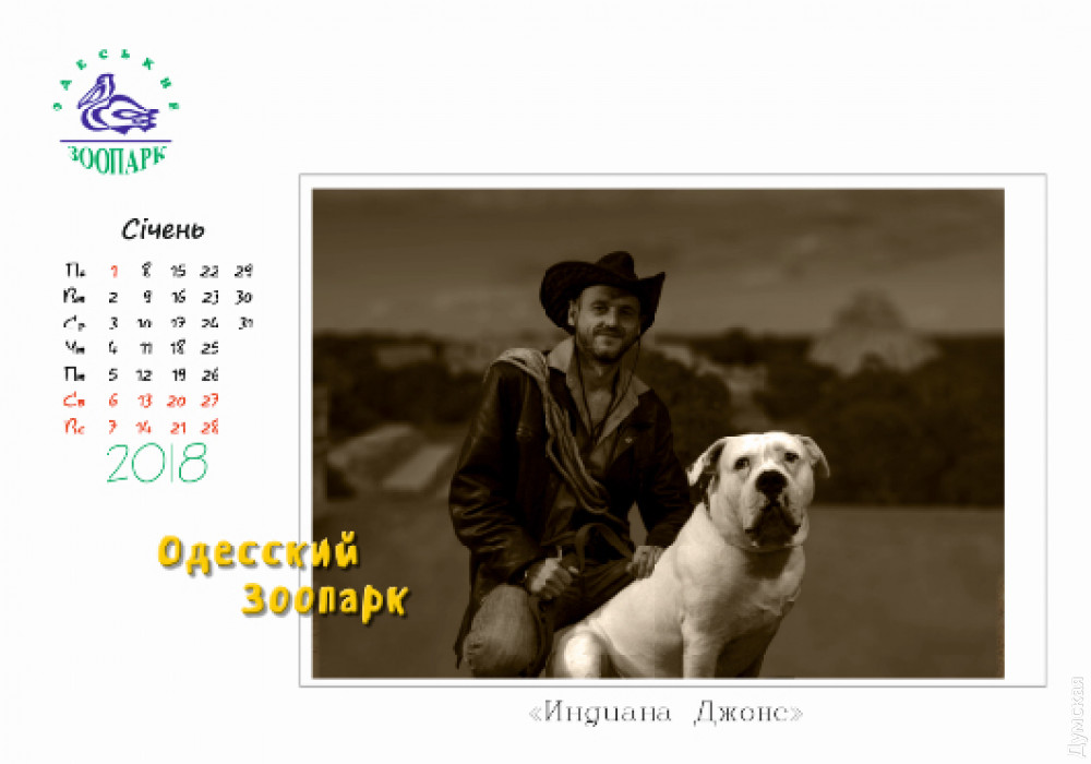 �������� �����  ��������� ��������� - �������� ������� ��������������  ����� - ������������ �������