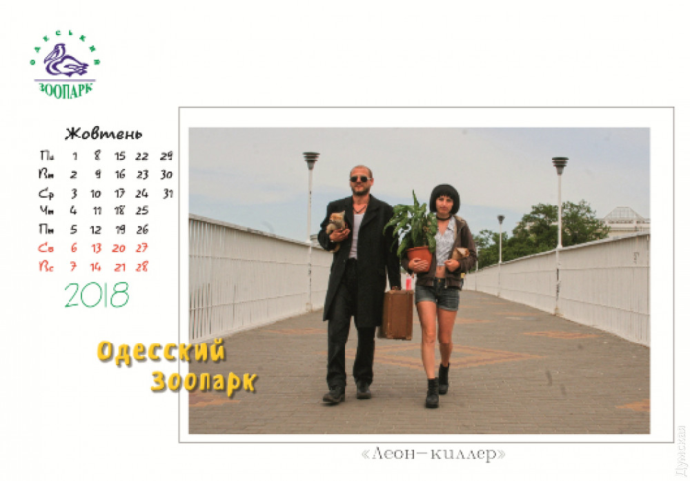 �����-������  �������� ������ � ����������� ���������  ��������� ��������� � �������� ������� ��������������  ���� � ����������� ����