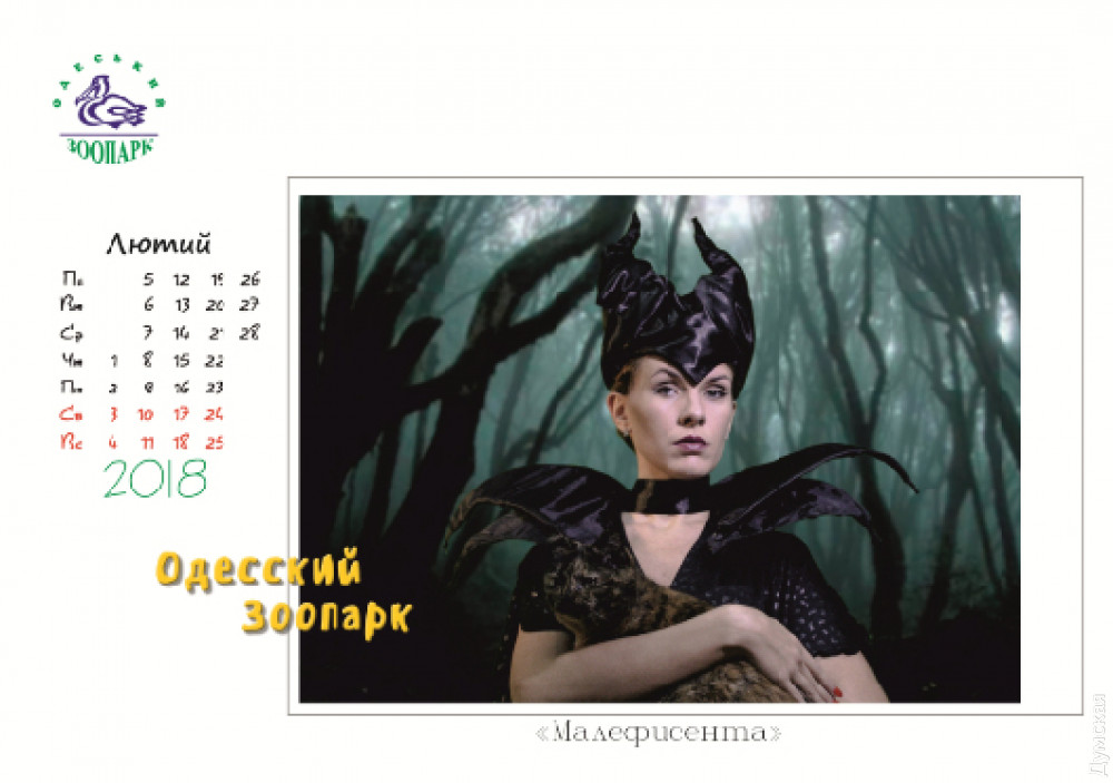 ������������  �������� ���� � ���������� ������� ����������  ���� � ����� ��������