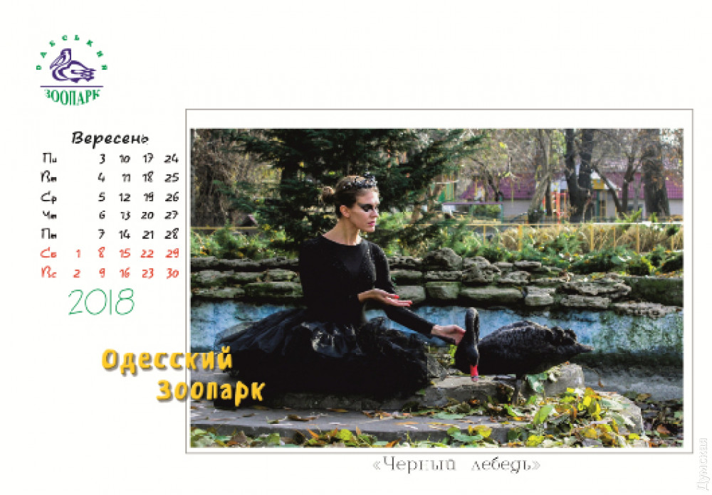 ������� �������  �������� ���� � ���������� ������� ����������  ������� � ������ ������