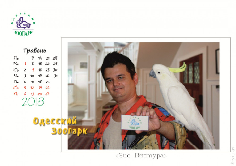 ���� �������  ������ ����� � ������� �� ����� �� ��������� ������� ��������������  �������� � ������