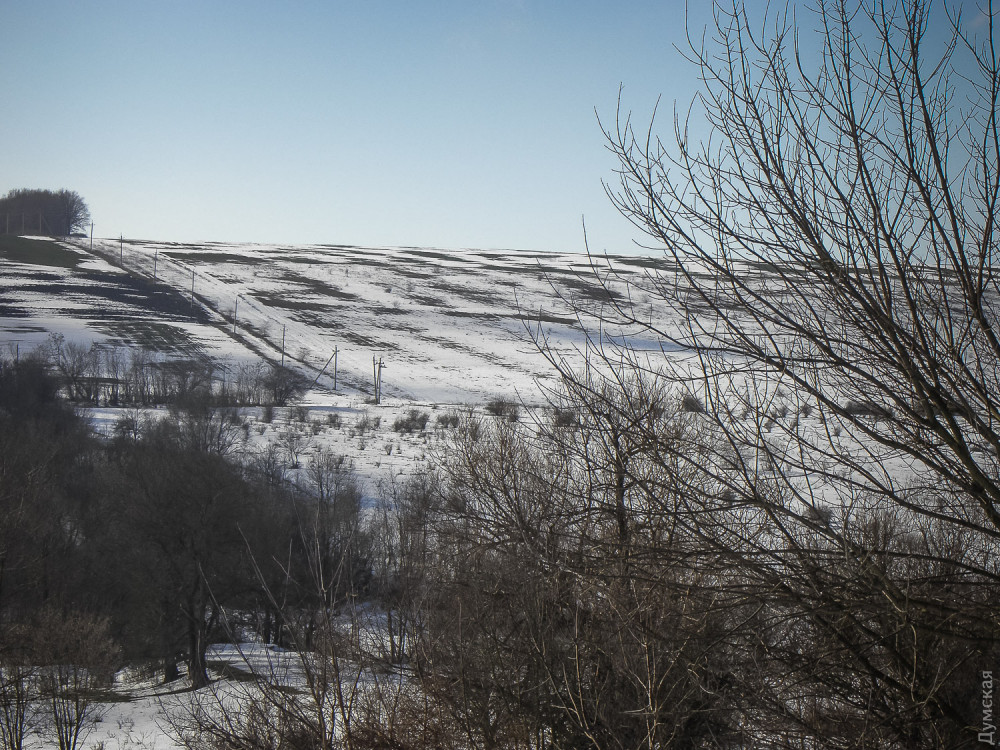 ���������� ������ � ������ ����: ��� ��������� ����������� 