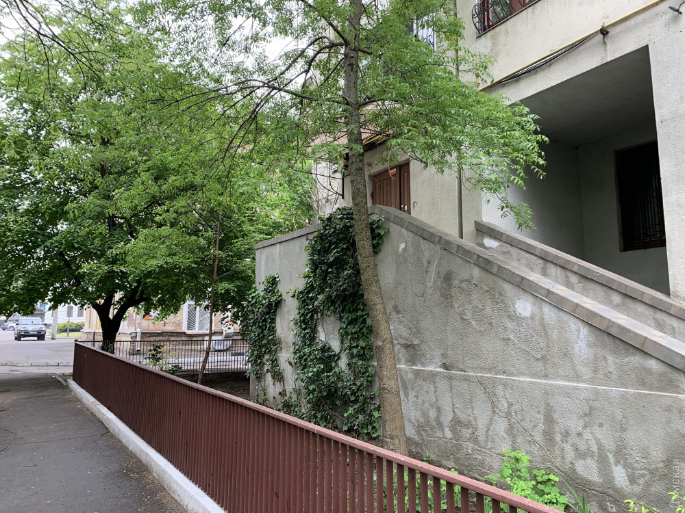 ��������, 1. ������ �������, ��� �� ������ ����������� "�������������"