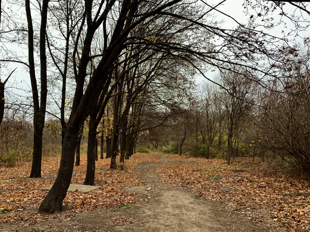 ����� ������� �������� �������� 