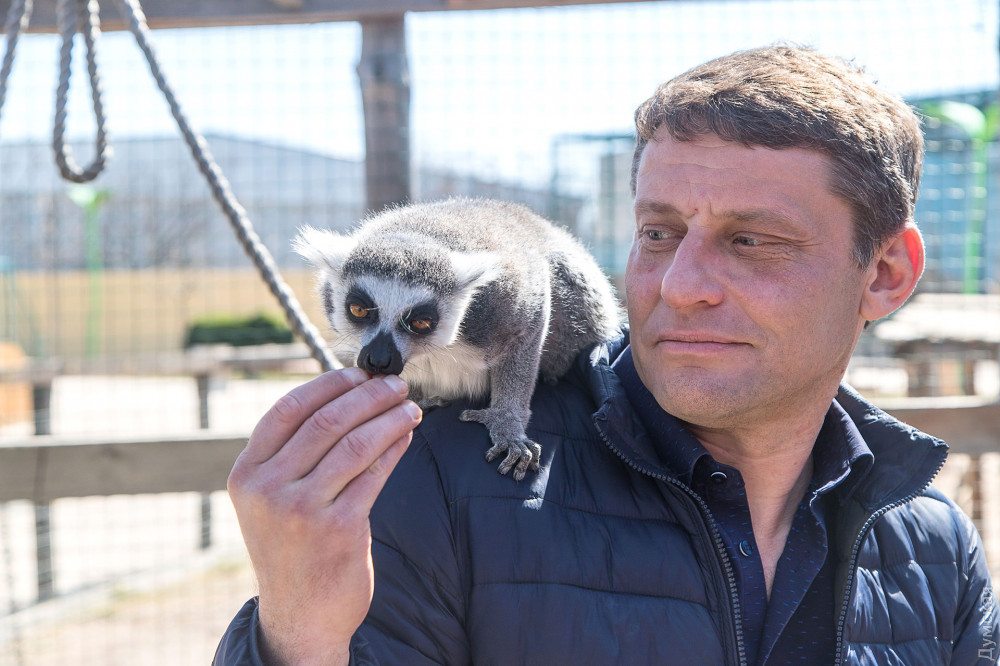 ������� �����������