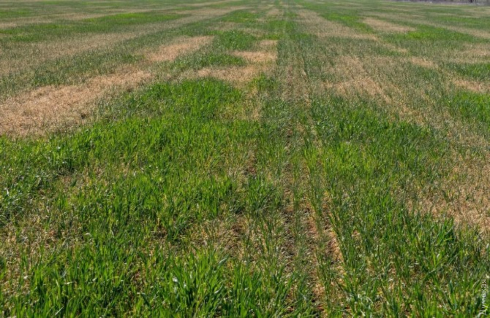 ���� ��������������� ������. ������ ������� - ��, ������� ��� �� ������. ����� � ���� - ���� �����-������ ���������