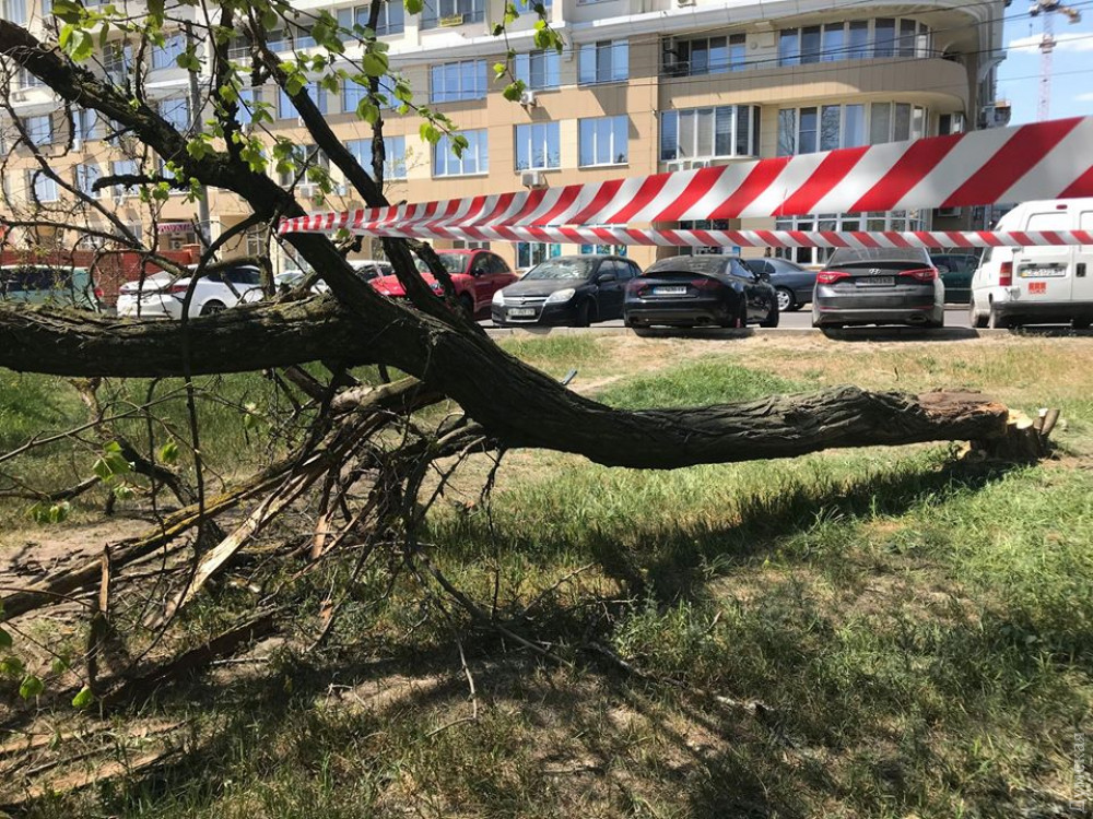 ���� ������ �� ����� �� ������ ������� - ������� ������ ������� ���������� ������