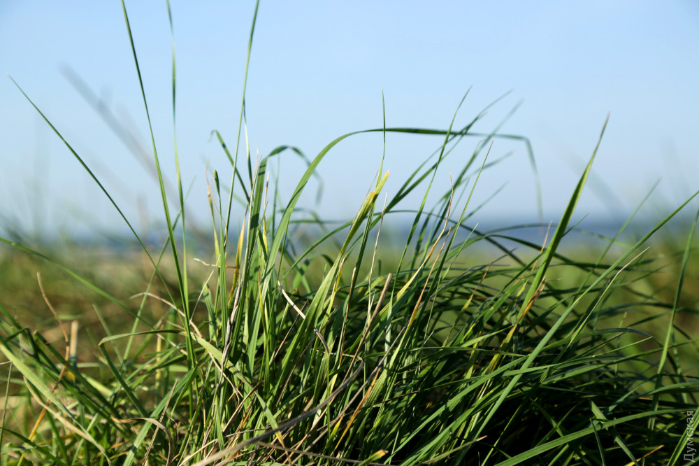 ����� ������ ���� � �������� ���� ������ ����� ���������������