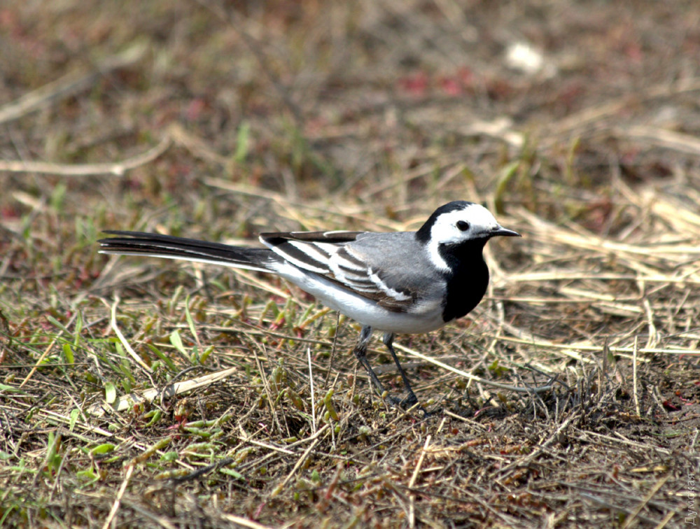 �� ����� ����� ������� ����� ��������� ����