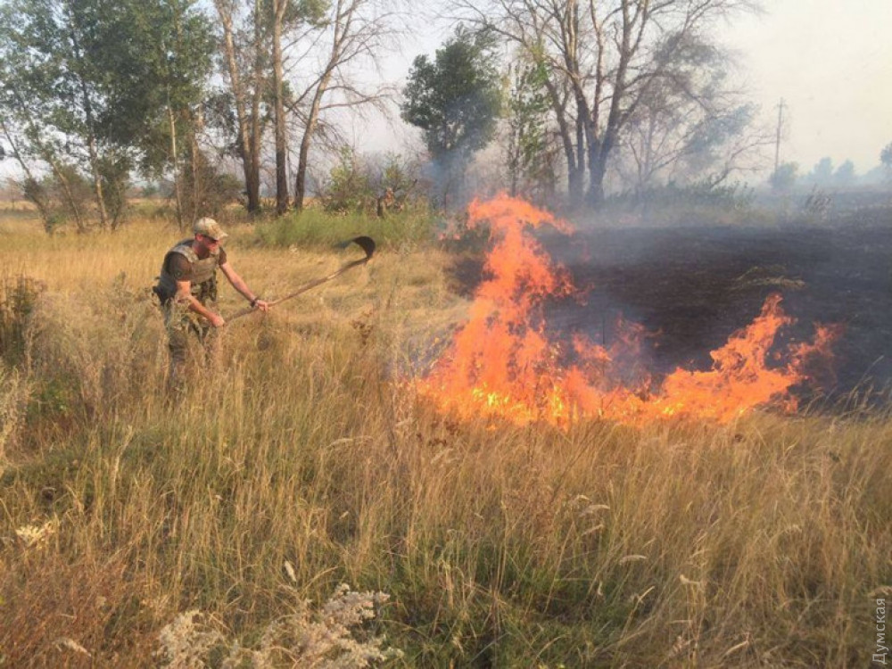 ������ � ���� ���������� ���