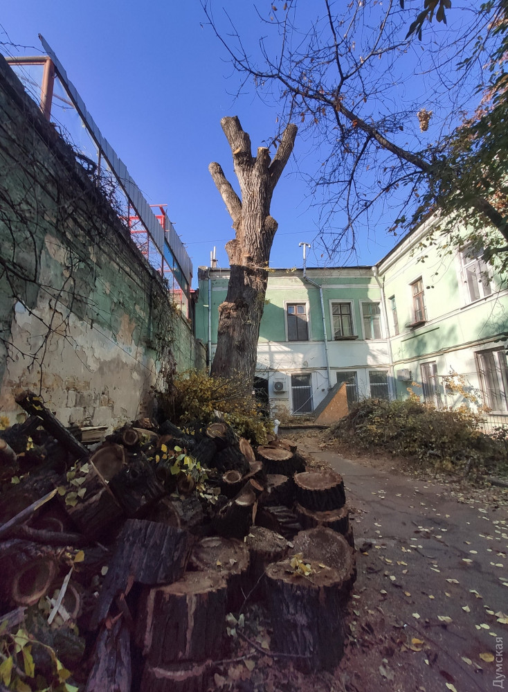 "�����������" ������ �� ��������, 17. ���� ���� ������