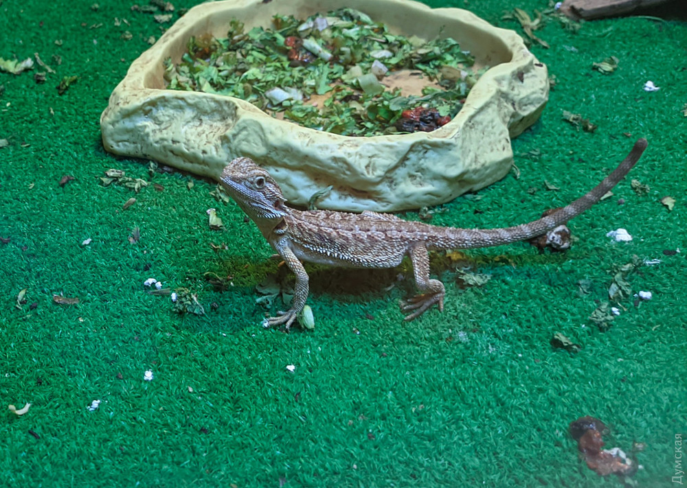 ��������� �����