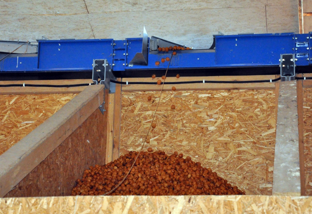 ������ ��� �����