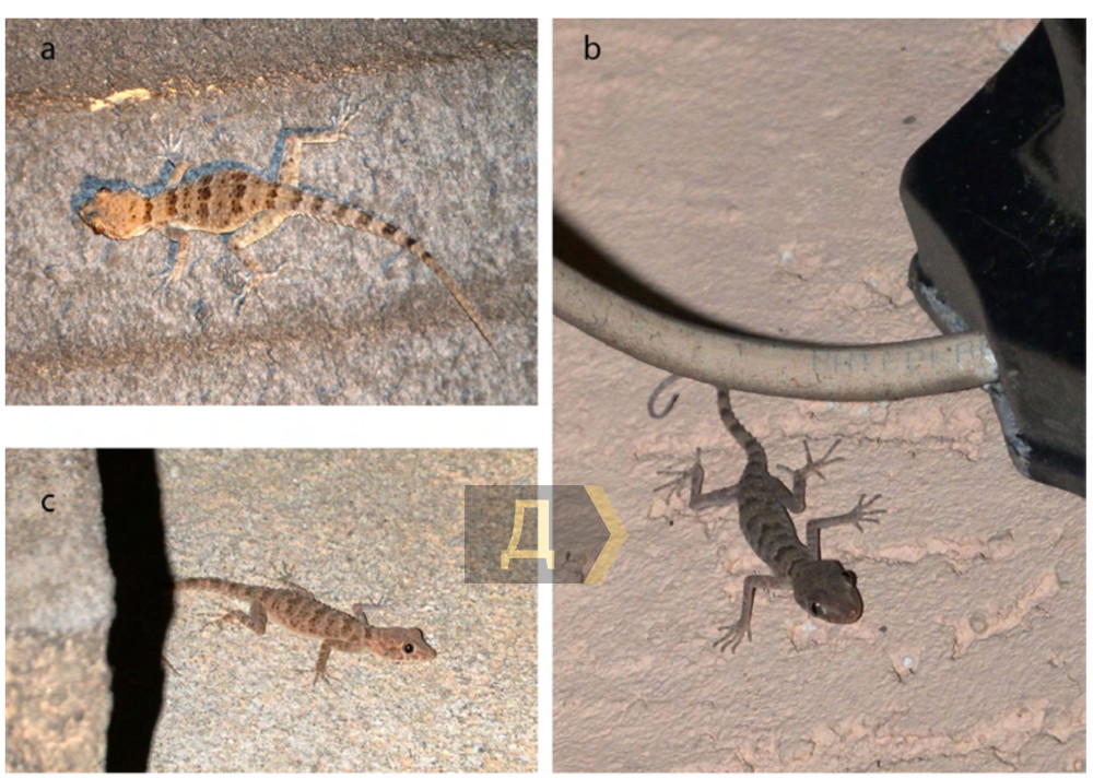 ���� ���� ���������� � ���������� �����������