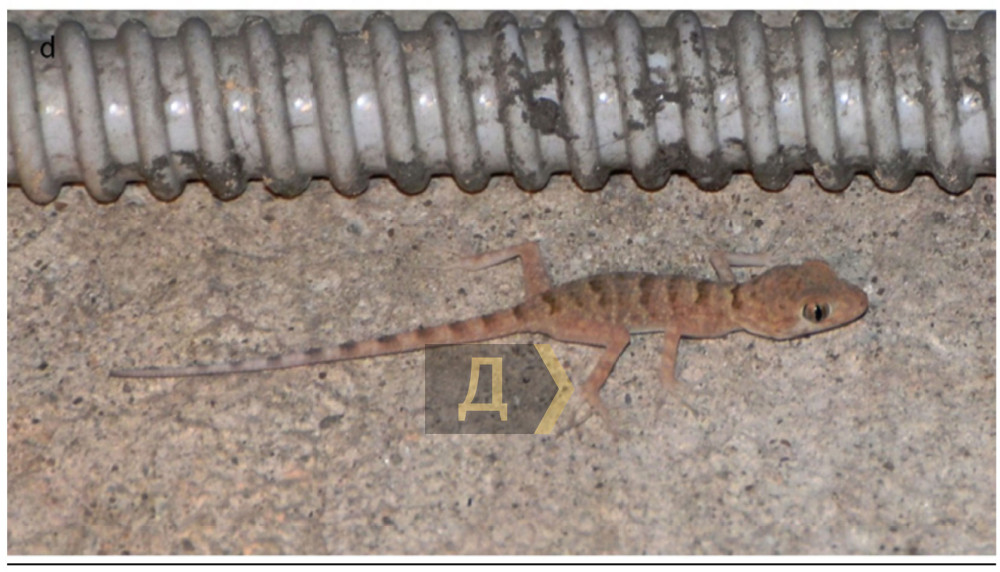 ���� ���� ���������� � ���������� �����������