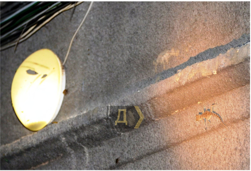 ���� ���� ���������� � ���������� �����������