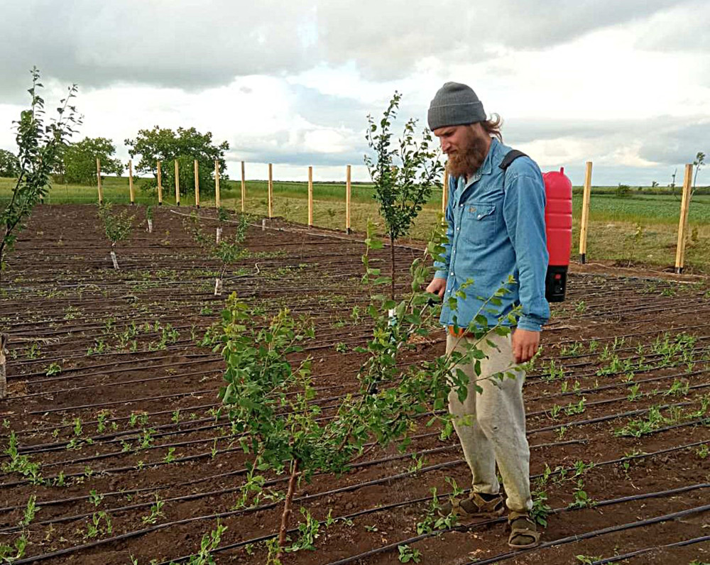 ���������� ��������� � ���� ���������