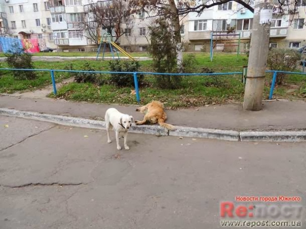 �� ��������  - �������� ������