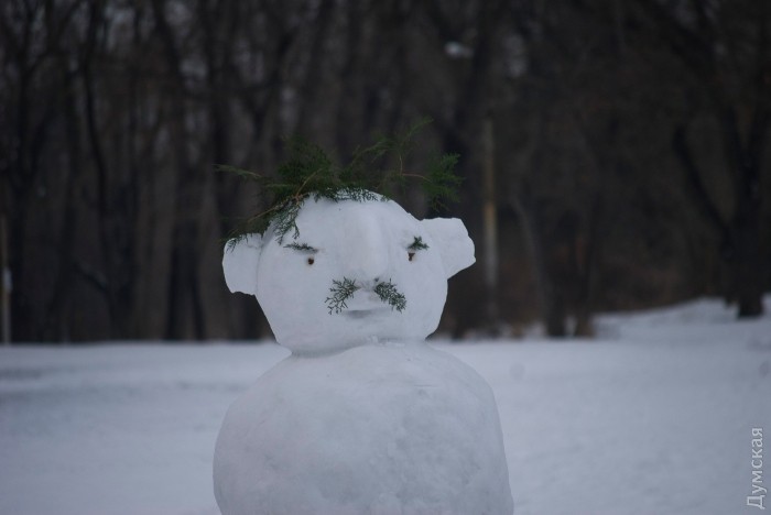 "������". ���� ���������� �����