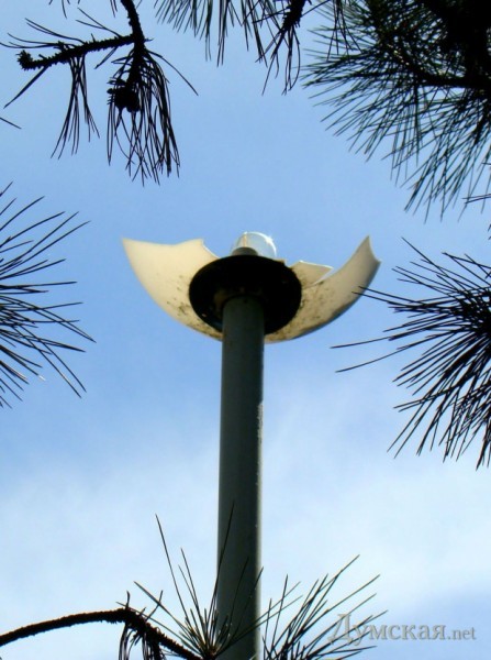 ������ �� ����� �� ������� ��������� �������� ��-�������� �������  